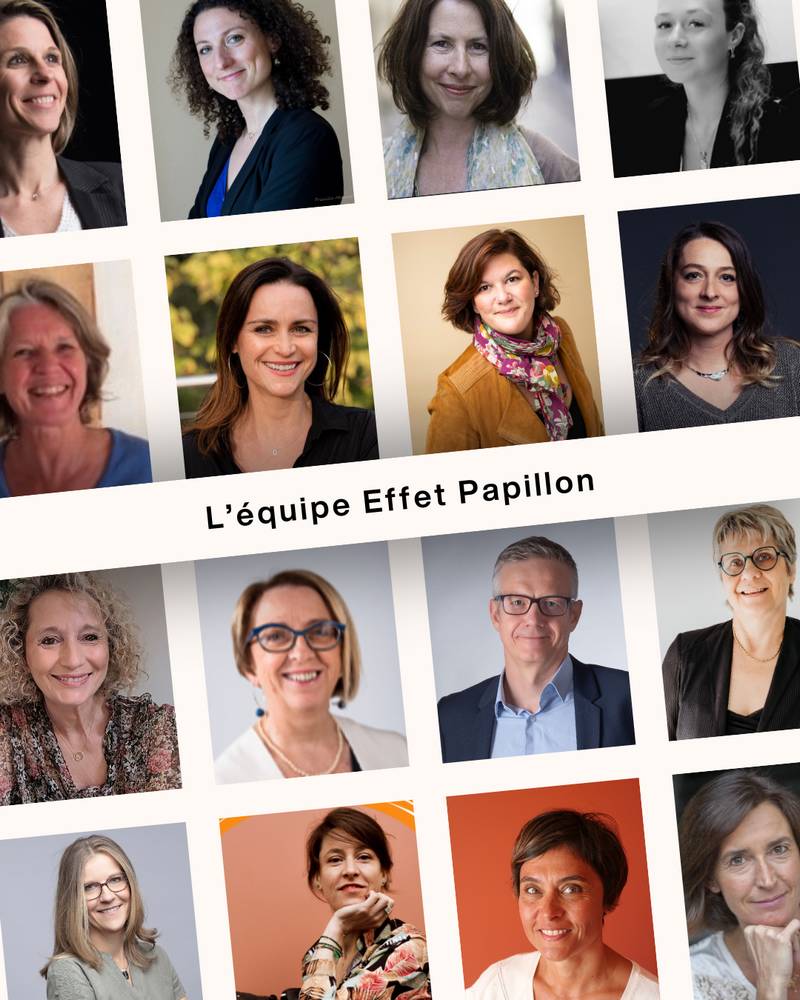 coach formateur Effet Papillon Lyon