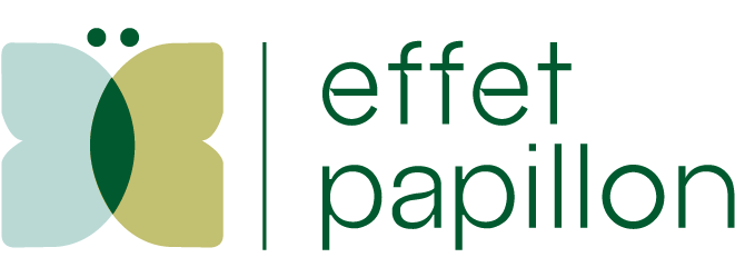 Effet Papillon coaching conseil formation